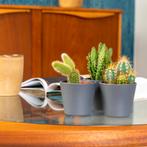 Vintage Astro Coffee Tafel 2814