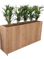 Plantenbak Voor Op Kantoor - Rroomdivider - Nieuw, Verzenden, 150 tot 200 cm, Eikenhout, Nieuw