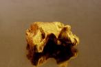 Goud Inheems, nugget uit Suriname of Frans-Guyana