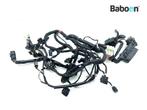Kabelboom Ducati Monster 1100 EVO 2011-2013 (51017561A), Motoren, Onderdelen | Ducati, Verzenden, Gebruikt