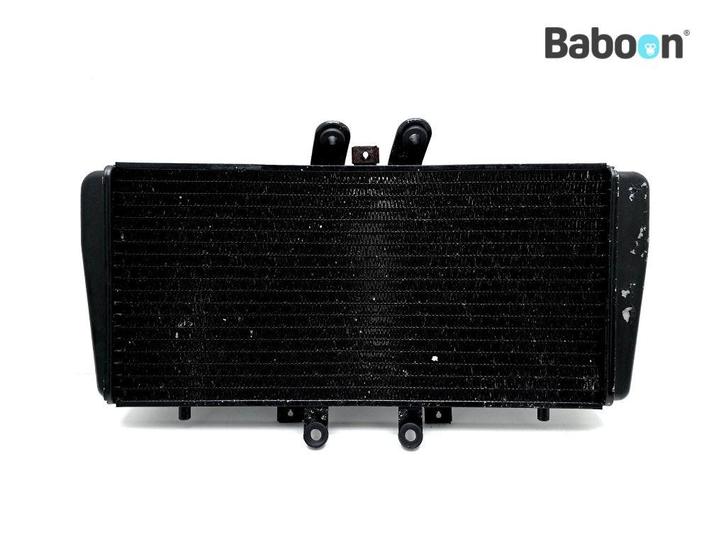 Radiateur Triumph Daytona 955 1999-2001 (955i), Motoren, Onderdelen | Overige, Gebruikt, Verzenden