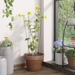 vidaXL Plantenstaken 20 st 61 cm staal donkergroen, Verzenden, Nieuw, 60 cm of meer