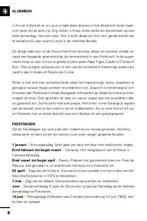 Lissabon / Time to momo 9789493273214 Stephanie Waasdorp, Boeken, Verzenden, Zo goed als nieuw, Stephanie Waasdorp