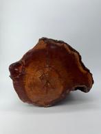 Standaard - Hout - Japan - Natuurlijke houten boomstronk