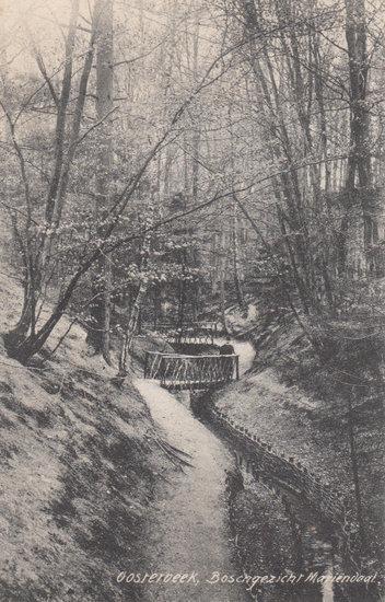 OOSTERBEEK - Boschgezicht Mariëndal, Verzamelen, Ansichtkaarten | Nederland, Verzenden