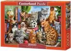House of Cats Puzzel (2000 stukjes) | Castorland - Puzzels, Hobby en Vrije tijd, Denksport en Puzzels, Verzenden, Nieuw