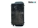 Radiateur Kawasaki EL 250 Eliminator 1991-1996 (EL250E), Motoren, Verzenden, Gebruikt