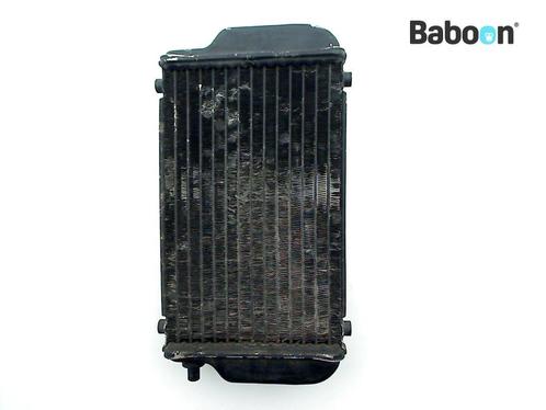 Radiateur Kawasaki EL 250 Eliminator 1991-1996 (EL250E), Motoren, Onderdelen | Kawasaki, Gebruikt, Verzenden