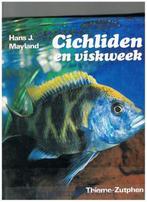 Cichliden en viskweek 9789003956101 Mayland, Boeken, Verzenden, Gelezen, Mayland