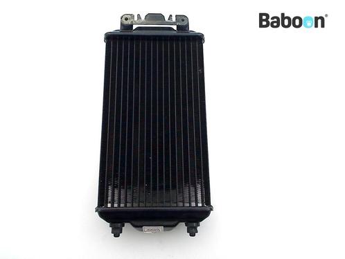 Radiateur Harley-Davidson XG 500 Street 2015-2018 (26800014), Motoren, Onderdelen | Harley-Davidson, Gebruikt, Verzenden