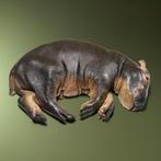 Nijlpaard Replica Taxidermie Opgezette Dieren By Max, Ophalen of Verzenden, Nieuw, Wild dier, Opgezet dier