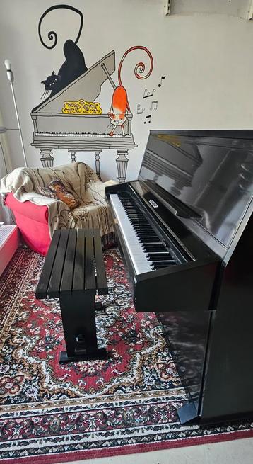 Rippen Artist zwarte piano beschikbaar voor biedingen