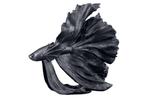 Design decoratief figuur vechtende vis CROWNTAIL 65cm zwart, Huis en Inrichting, Woonaccessoires | Vazen, Ophalen of Verzenden