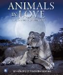 Animals in love - Blu-ray, Verzenden, Nieuw in verpakking