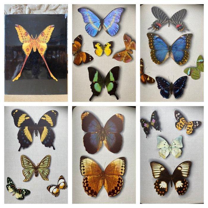 Alfred Werner and Josef Bijok - Butterflies and Moths { 39, Antiek en Kunst, Antiek | Boeken en Bijbels