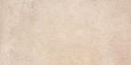Vloertegel/Wandtegel Beige 30x60cm (Muurtegels) (Muurtegels), 60 cm of meer, Keramiek, Nieuw, Ophalen of Verzenden