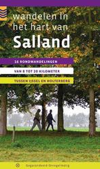 Wandelen in het hart van Salland 9789078641315 Maarten Metz, Boeken, Verzenden, Gelezen, Maarten Metz