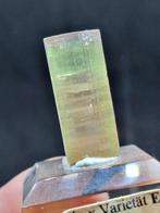 Zeldzame Italiaanse Elbaïte toermalijn Kristal - Hoogte: 25, Verzamelen