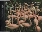 cd promo - Strangelove - Sway, Verzenden, Zo goed als nieuw