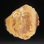 Oud-Romeins Fresco Polychroom Fragment