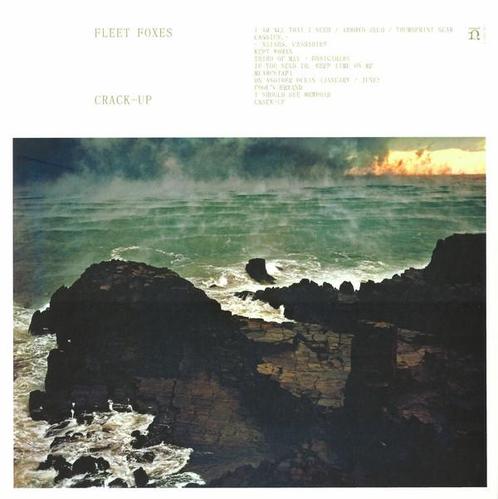 cd digi - Fleet Foxes - Crack-Up, Cd's en Dvd's, Cd's | Overige Cd's, Zo goed als nieuw, Verzenden