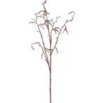 Bruine Betula pendula/berkenkatjes kunsttak 66 cm - Overig.., Ophalen of Verzenden