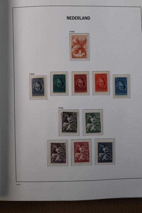 Nederland 1945/1969 - OP 1 serie na complete collectie in, Postzegels en Munten, Postzegels | Nederland