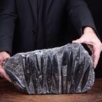 Fossiele monsters - Perfecte omstandigheden - Fossiel