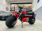 Motozodiaco - Tuareg - Bud Spencer - 223 cc - 1976, Motoren