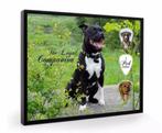 Staffordshire Bull Terrier hond plectrumdisplay, Nieuw, Overige typen, Ophalen of Verzenden, Hond of Kat