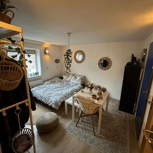 Gestoffeerde Studio in Coenderstraat gevonden in Delft, Huizen en Kamers, Kamers te huur, 20 tot 35 m², Delft