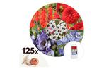 Bloembollen uit Nederland - mix van 125 bollen, Huis en Inrichting, Kamerplanten, Verzenden