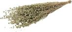 Oregano Marjorana droogbloemen in hoes Bundel 88 gram, Ophalen of Verzenden, Nieuw