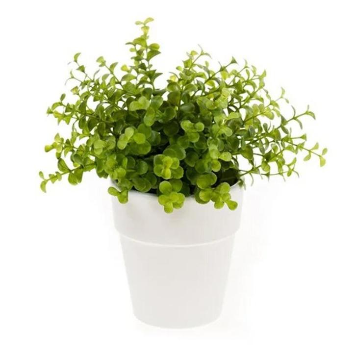 Kunstplant eucalyptus groen in witte pot 22 cm  - Overige .., Huis en Inrichting, Kamerplanten, Verzenden