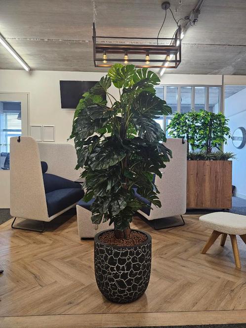 Monstera kunstplant, H170cm, Huis en Inrichting, Kamerplanten, Ophalen of Verzenden