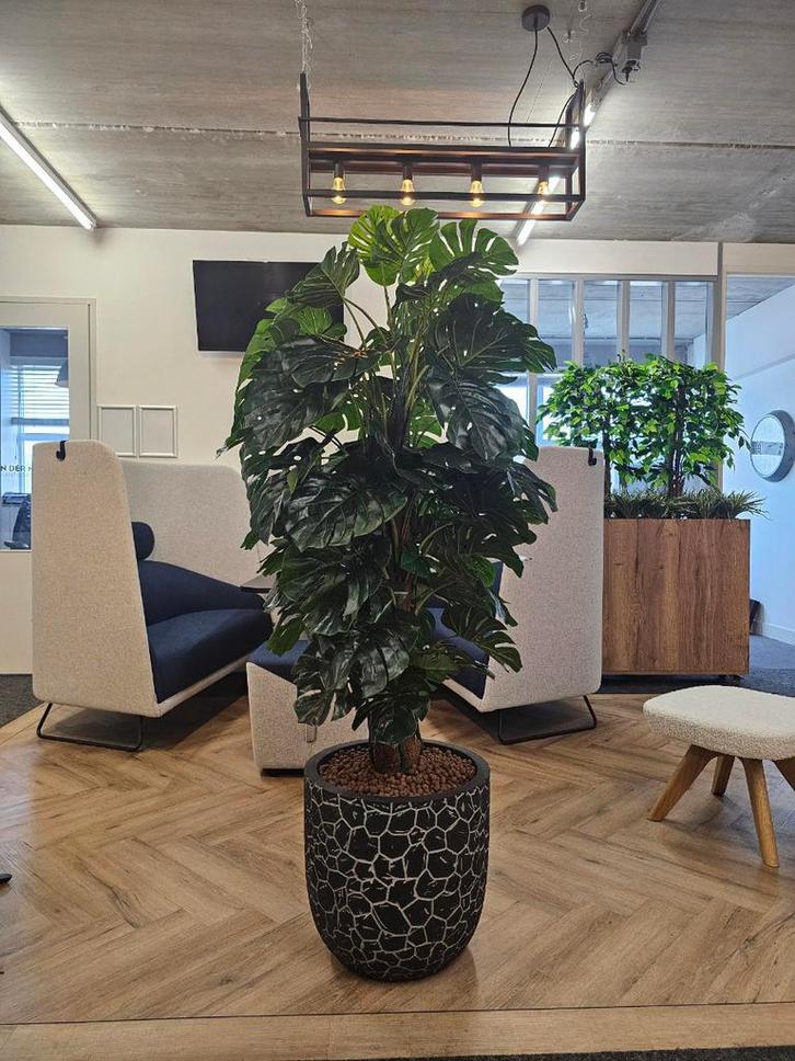 Monstera kunstplant, H170cm, Huis en Inrichting, Kamerplanten, Overige soorten, 150 tot 200 cm, Ophalen of Verzenden