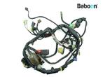Kabelboom Honda CBF 500 (CBF500 CBF500A PC39) ABS, Motoren, Onderdelen | Honda, Gebruikt