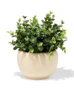 HEMA Bloempot 10x10.4cm keramiek crème, Huis en Inrichting, Kamerplanten, Verzenden