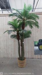 Kunst palmboom in pot, Huis en Inrichting, Woonaccessoires | Kunstplanten en Kunstbloemen, Nieuw