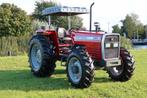 Massey Ferguson Tractor 385 4wd, Nieuw, Verzenden