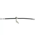 Remslang HONDA ACCORD 2.0 i 16V voorzijde, rechts, Verzenden, Nieuw