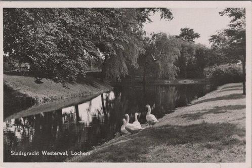 LOCHEM - Stadsgracht Westerwal, Verzamelen, Ansichtkaarten | Nederland, Verzenden