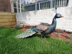 Very large sculpture of a peacock - metal