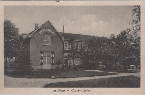 DE STEEG - Carolinahoeve, Verzamelen, Ansichtkaarten | Nederland, Verzenden