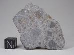 Meteoriet NWA 5913 Eucriet volledige snee - 11.8 g, Verzamelen, Mineralen en Fossielen