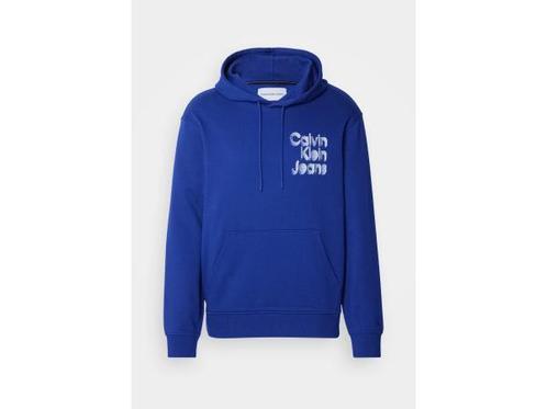 Veiling - Calvin Klein Stacked Euphoric Logo Hoodie Trui (Ma, Kleding | Heren, Truien en Vesten
