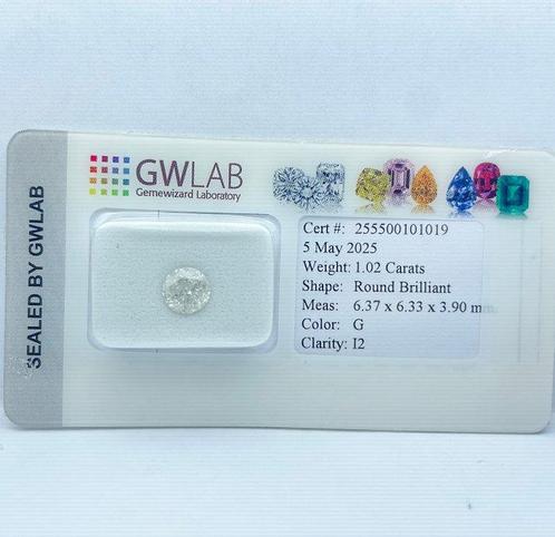 Zonder Minimumprijs - 1 pcs Diamant (Natuurlijk) - 1.02 ct -, Sieraden, Tassen en Uiterlijk, Edelstenen