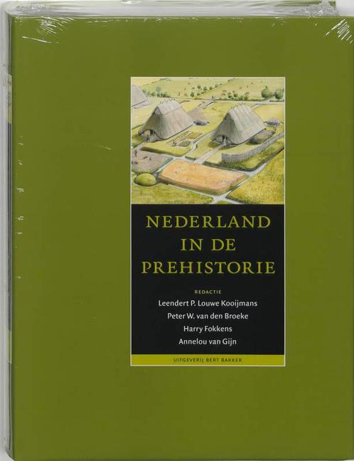 Nederland in de prehistorie 9789035124844 L. Kooijmans, Boeken, Geschiedenis | Vaderland, Gelezen, Verzenden