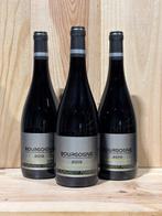 2019 Laurent Ponsot - Bourgogne - Bourgogne - 3 Flessen, Nieuw