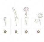 Corsagehouder Boutonnière Flowerdarte Zwart doos 10 stuks, Hobby en Vrije tijd, Knutselen, Ophalen of Verzenden, Nieuw